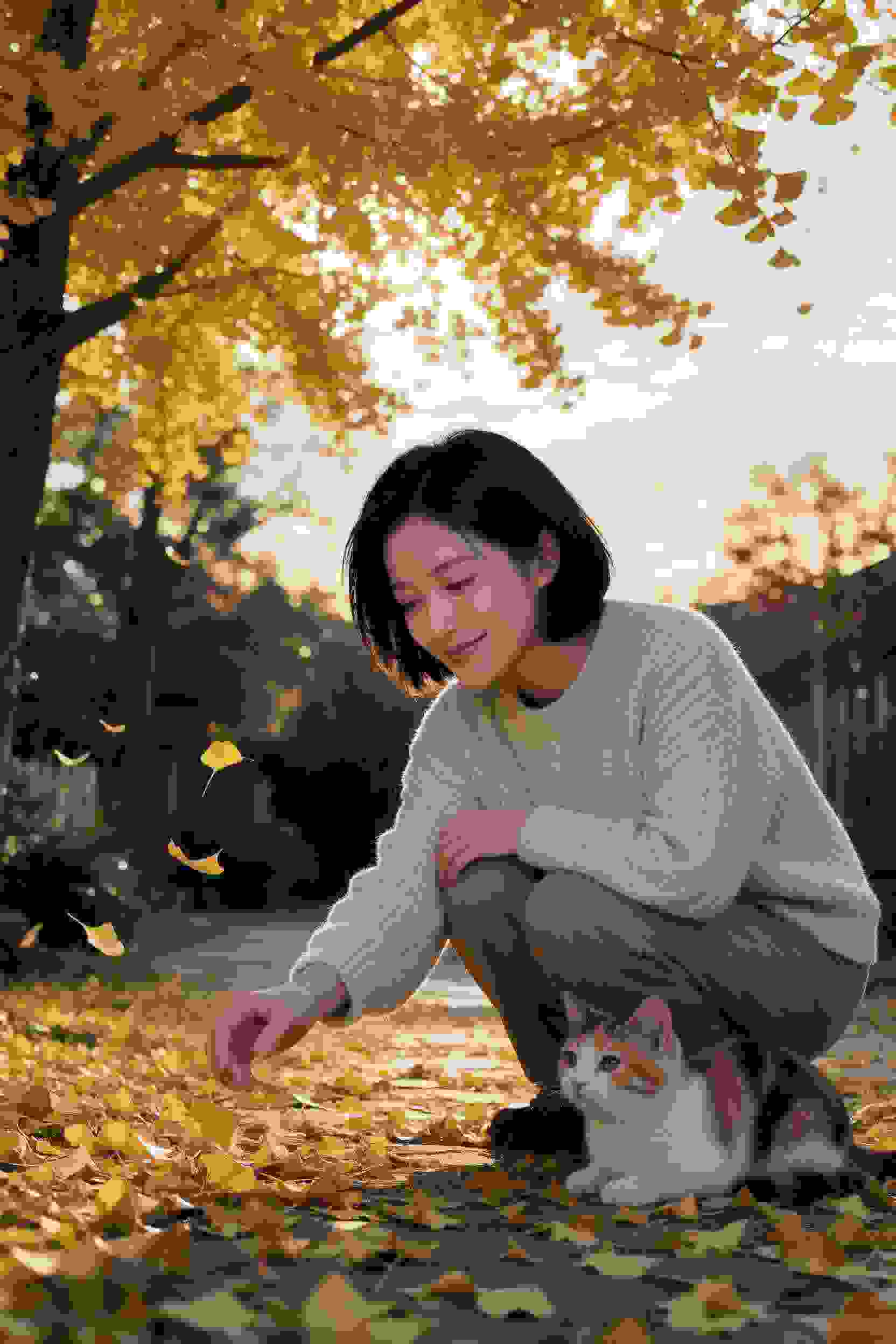 豪门弃妇的翻身记